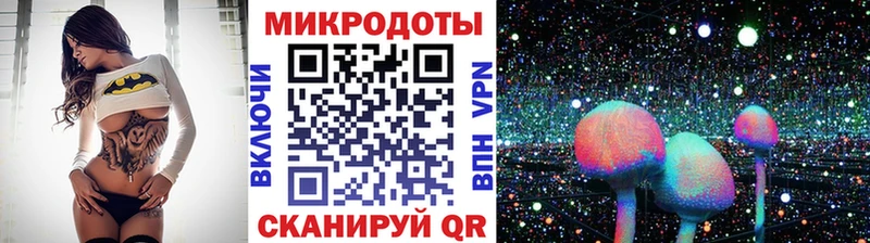 хочу   Саяногорск  Галлюциногенные грибы Psilocybe 